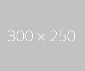 300x250